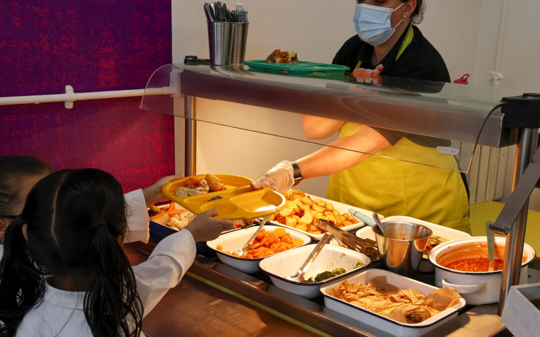 How to Choose a School Catering Company: A Tender-Stage Guide