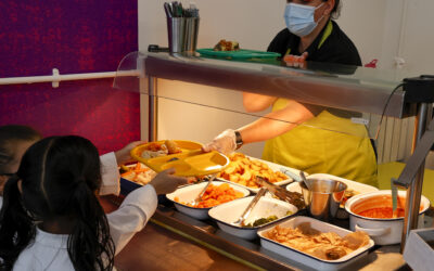 How to Choose a School Catering Company: A Tender-Stage Guide